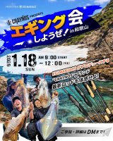 エギングしようぜ会のお知らせ