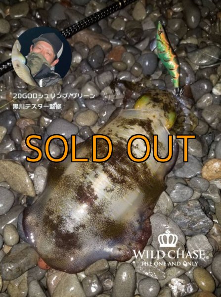 画像2: WAVE HUNTER 3.5号 GODシュリンプ/グリーン（#20） [黒川テスター監修] (2)