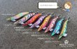 画像2: WAVE HUNTER 3.5号 GODシュリンプ/ピンク（#18） [黒川テスター監修] (2)