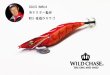 画像5: WILD CHASE 3.5号S/シャローtune（23） 夜遊びカサゴ (5)