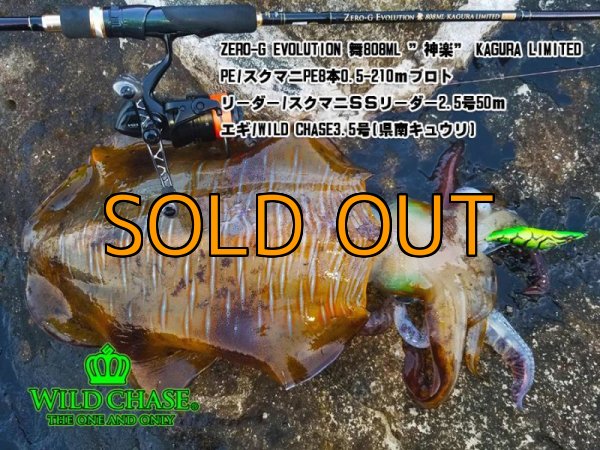 画像3: WILD CHASE 3.5号 県南キュウリ ( #03 ) [黒川テスター監修カラー] (3)