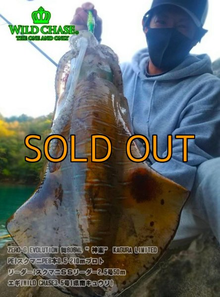 画像4: WILD CHASE 3.5号 県南キュウリ ( #03 ) [黒川テスター監修カラー] (4)