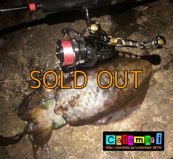 画像3: X8-PE 0.6-200m ピンク4m/スモークシールド1m (3)