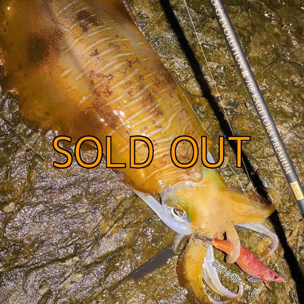 画像10: ZEROエヴォ PREMIUM　龍 708 ”景虎RV” (10)