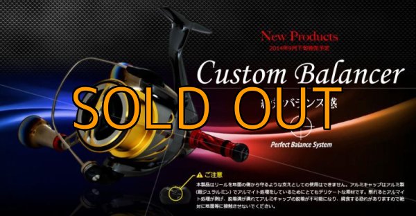 画像5: NEWカスタムバランサーtype-2 / C1（オールGOLD） (5)