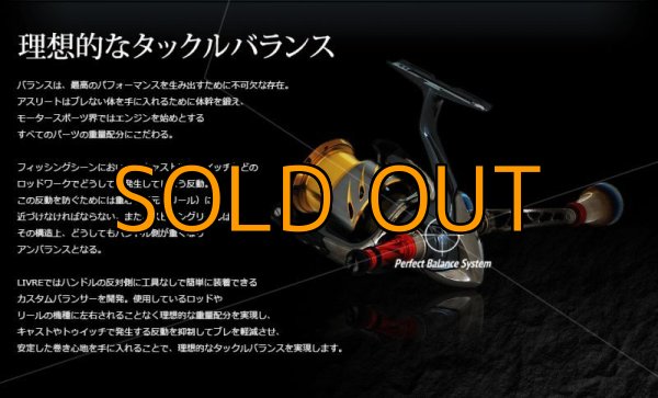 画像6: NEWカスタムバランサーtype-2 / C1（オールGOLD） (6)