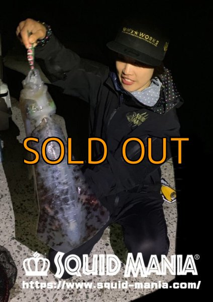 画像4: ZEROエヴォ PREMIUM N 絆 806 SPIDER (4)