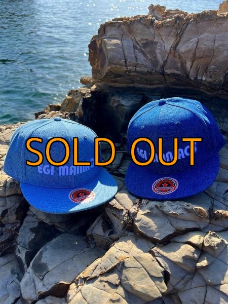 画像3: ★送料無料★エギマニ/3D刺繍デニムフラットCAP【BLUEデニム】 (3)