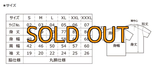 画像10: スクマニ×エギマニＴシャツ『 烏賊TRIVAL/Rainbow 』BLACK (10)