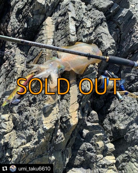 画像12: X8-PE 0.4-240m 『Sea Blue』エギマニ限定COLOR (12)