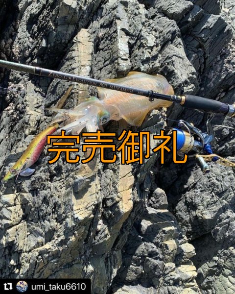 画像11: X8-PE 0.5-210m 『Sea Blue』エギマニ限定COLOR (11)