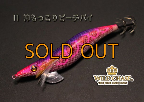 画像6: WILD CHASE 3.5号【#7〜#12】 (6)