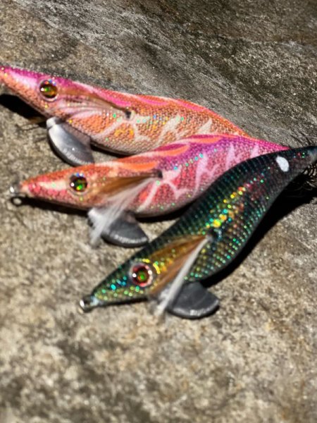 画像6: WILD CHASE 3.5号 モンスターブラック[特注:EGI MANIACS] (6)