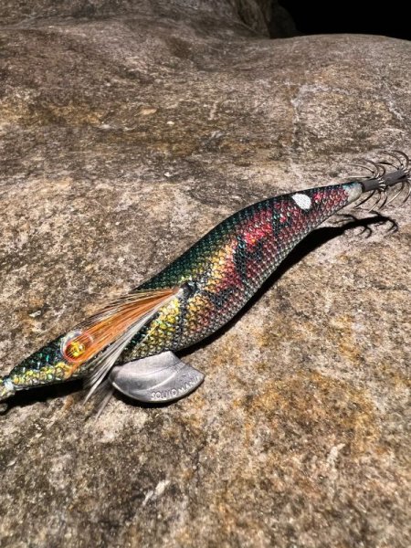 画像5: WILD CHASE 3.5号 モンスターブラック[特注:EGI MANIACS] (5)