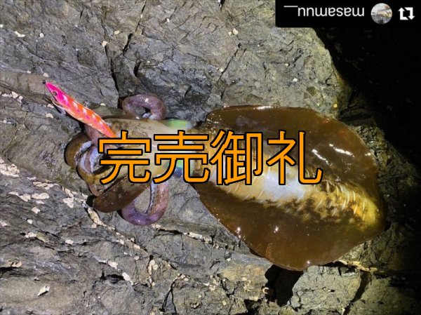 画像10: WILD CHASE 3.0号 モンスターオレンジ[特注:EGI MANIACS] (10)