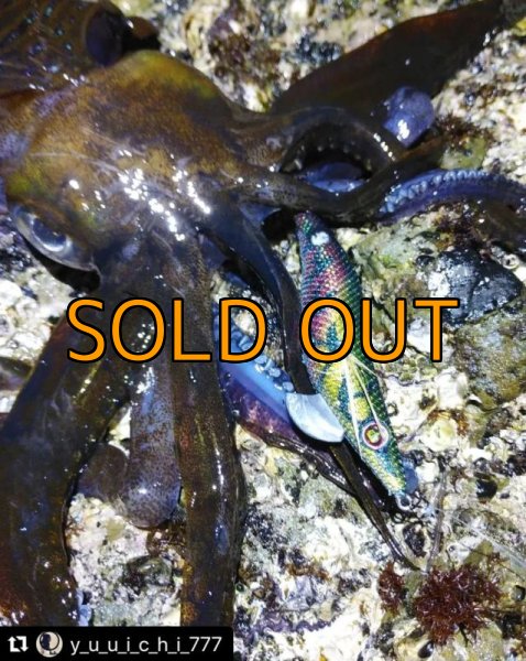 画像10: WILD CHASE 3.5号 モンスターブラック[特注:EGI MANIACS] (10)