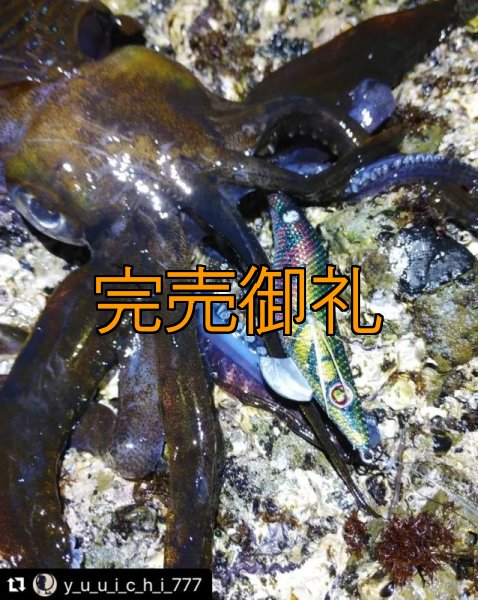 画像5: WILD CHASE 3.0号 モンスターブラック[特注:EGI MANIACS] (5)