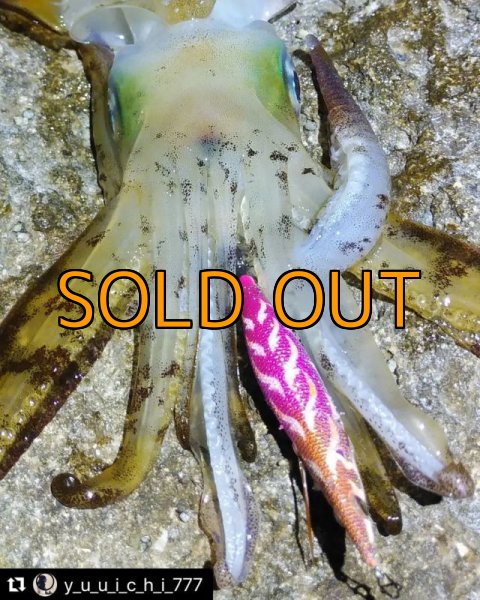 画像14: WILD CHASE 3.5号 モンスターピンク[特注:EGI MANIACS] (14)