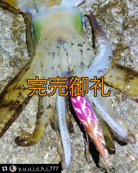 画像14: WILD CHASE 3.0号 モンスターピンク[特注:EGI MANIACS] (14)