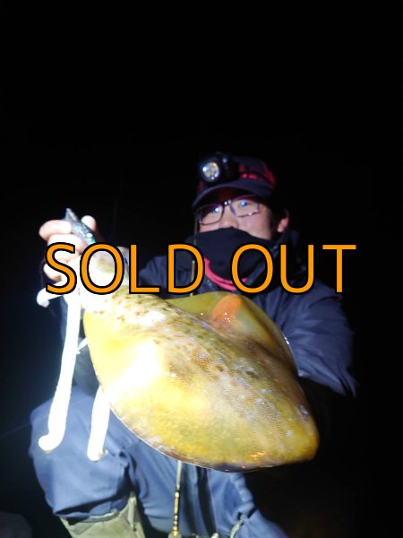 画像9: WILD CHASE 3.5号 モンスターブラック[特注:EGI MANIACS] (9)