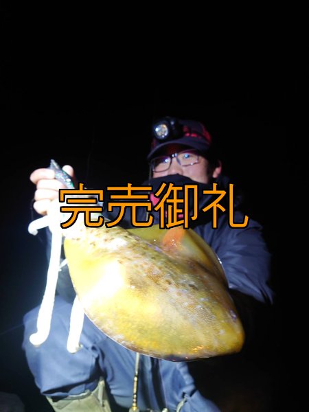 画像7: WILD CHASE 3.0号 モンスターブラック[特注:EGI MANIACS] (7)