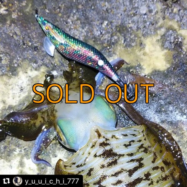 画像11: WILD CHASE 3.5号 モンスターブラック[特注:EGI MANIACS] (11)