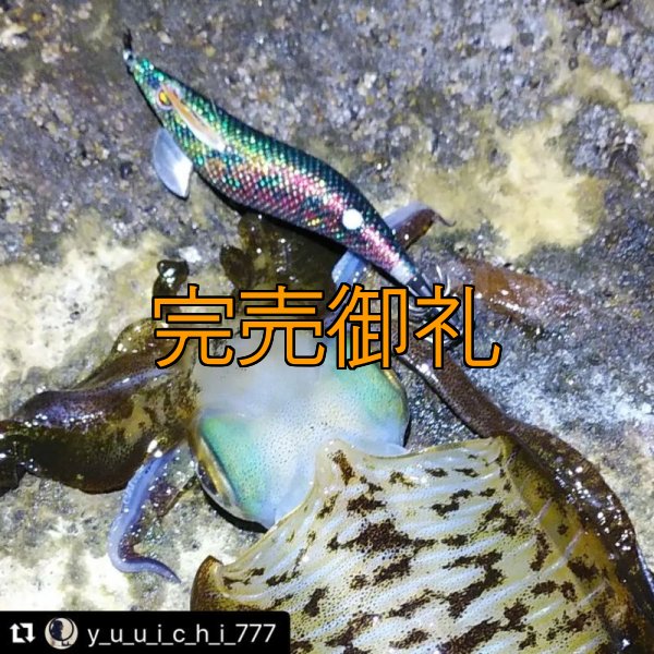 画像6: WILD CHASE 3.0号 モンスターブラック[特注:EGI MANIACS] (6)