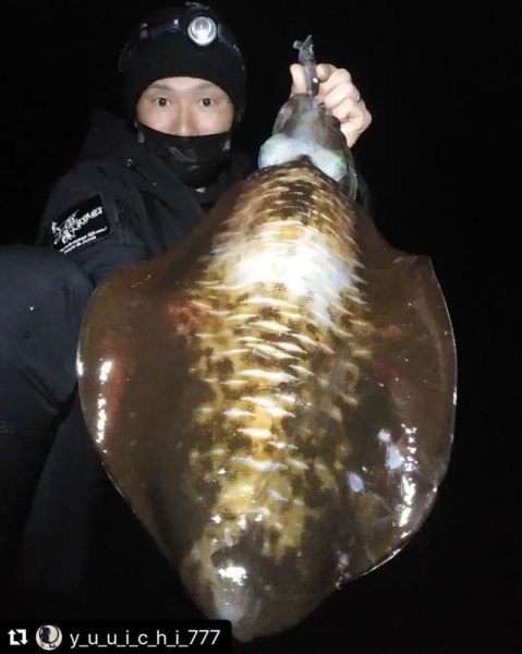 画像8: WILD CHASE 3.5号 モンスターブラック[特注:EGI MANIACS] (8)