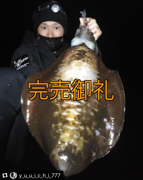 画像4: WILD CHASE 3.0号 モンスターブラック[特注:EGI MANIACS] (4)