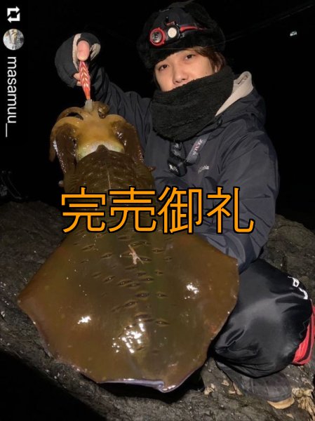画像9: WILD CHASE 3.0号 モンスターオレンジ[特注:EGI MANIACS] (9)