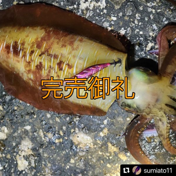 画像13: WILD CHASE 3.0号 モンスターピンク[特注:EGI MANIACS] (13)