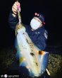 画像10: WILD CHASE 3.5号 モンスターピンク[特注:EGI MANIACS] (10)