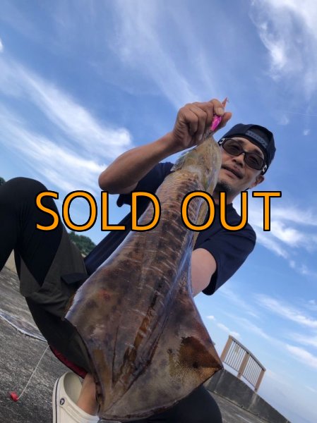 画像2: WILD CHASE 3.5号 モンスターピンク[特注:EGI MANIACS] (2)