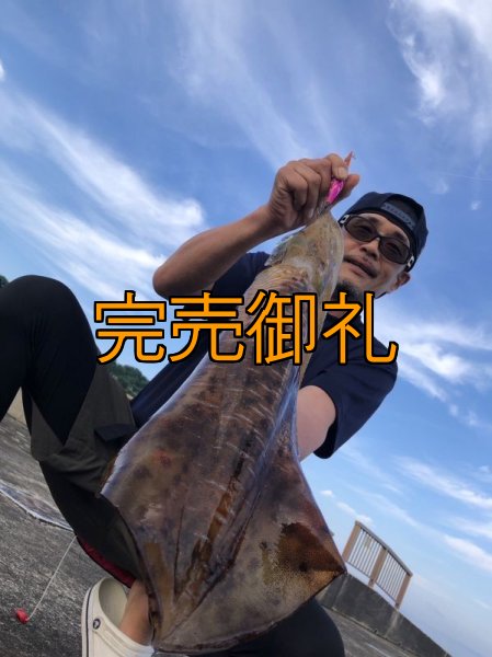 画像9: WILD CHASE 3.0号 モンスターピンク[特注:EGI MANIACS] (9)