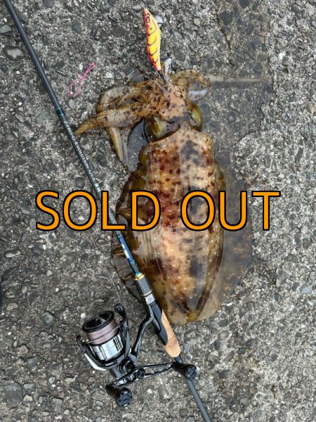 画像4: 新規格 X8-PE 0.6-210m ORANGE&SMOKE SHIELD【1m-80cmSS/20cmOR】 (4)