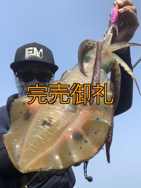 画像11: WILD CHASE 3.0号 モンスターピンク[特注:EGI MANIACS] (11)