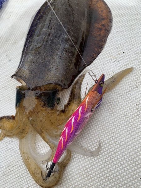 画像2: WILD CHASE/B-TR 3.0号 25ｇ/モンスターピンク [特注:EGI MANIACS] (2)