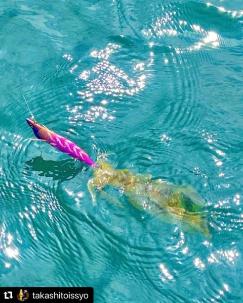 画像3: WILD CHASE/B-TR 3.0号 25ｇ/モンスターピンク [特注:EGI MANIACS] (3)