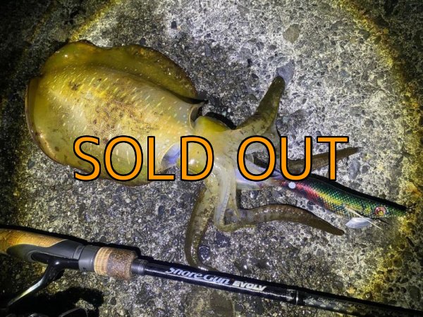 画像12: WILDCHASE 3.5号シャローtune / モンスターブラック[特注:EGI MANIACS] (12)