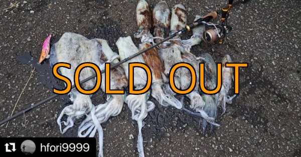 画像12: WILDCHASE 3.5号シャローtune / モンスターピンク[特注:EGI MANIACS] (12)