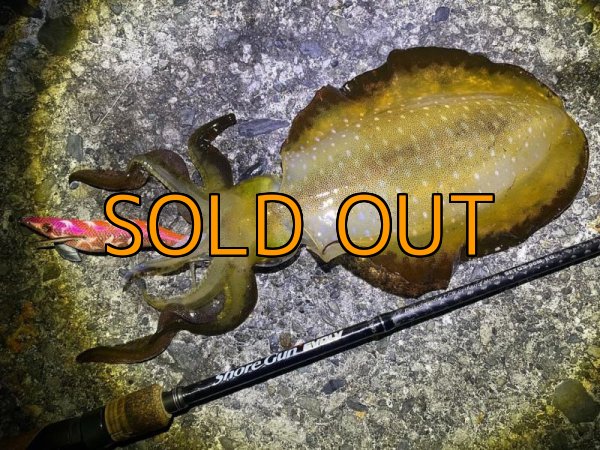 画像11: WILD CHASE 3.5号RT(ラトル)  モンスターオレンジ[特注:EGI MANIACS] (11)