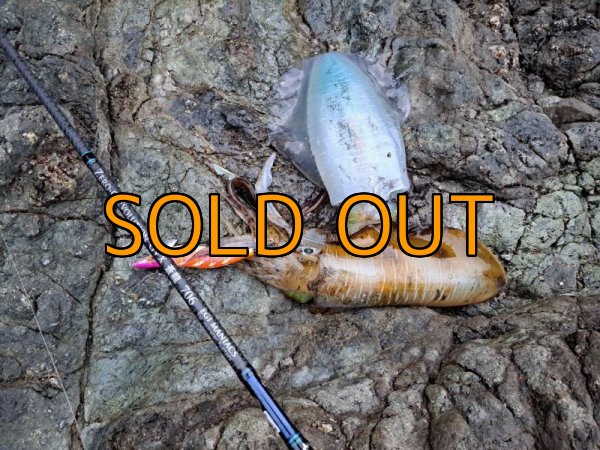 画像17: WILD CHASE 3.5号RT(ラトル)  モンスターオレンジ[特注:EGI MANIACS] (17)