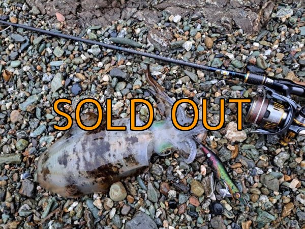 画像14: WILDCHASE 3.5号シャローtune / モンスターブラック[特注:EGI MANIACS] (14)