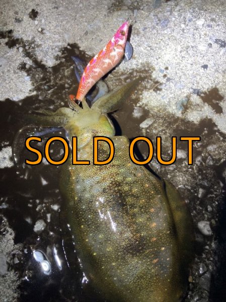 画像9: WILD CHASE 3.5号RT(ラトル)  モンスターオレンジ[特注:EGI MANIACS] (9)