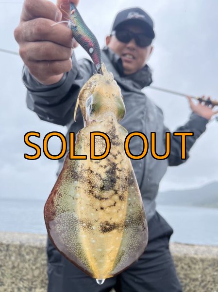 画像8: WILDCHASE 3.5号シャローtune / モンスターブラック[特注:EGI MANIACS] (8)