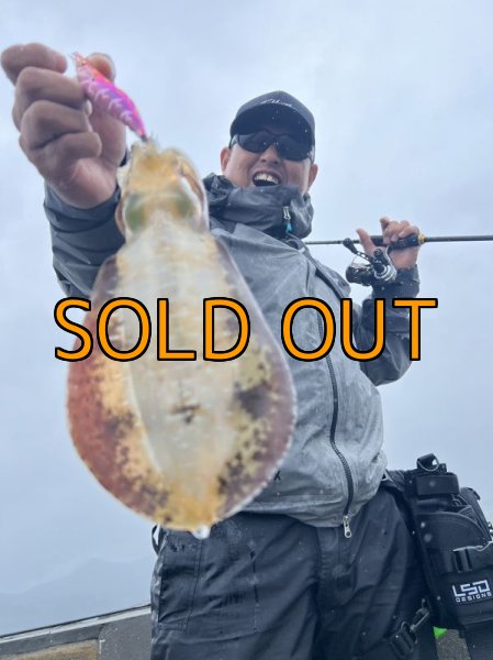 画像6: WILDCHASE 3.5号シャローtune / モンスターピンク[特注:EGI MANIACS] (6)