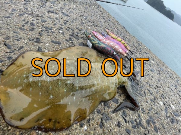 画像11: WILDCHASE 3.5号シャローtune / モンスターブラック[特注:EGI MANIACS] (11)