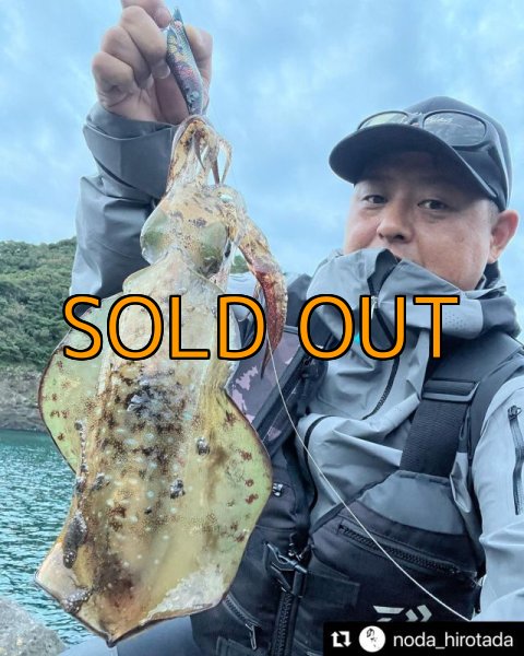 画像6: WILDCHASE 3.5号シャローtune / モンスターブラック[特注:EGI MANIACS] (6)