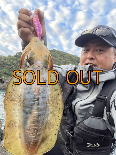 画像5: WILDCHASE 3.5号シャローtune / モンスターピンク[特注:EGI MANIACS] (5)