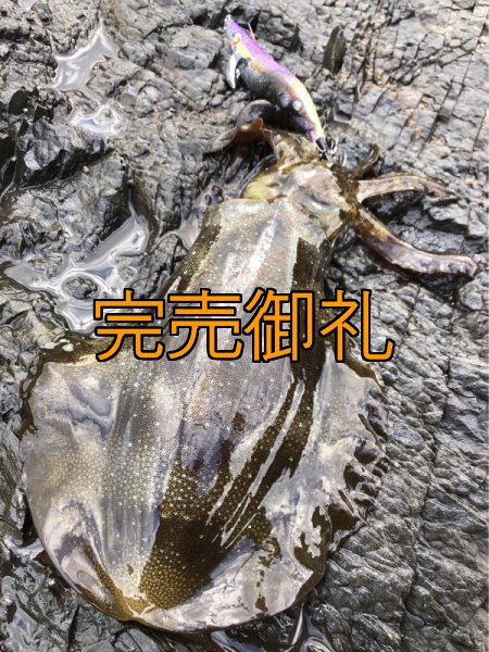 画像5: WILD CHASE 3.5号ほなけんパープル[特注:87works] (5)